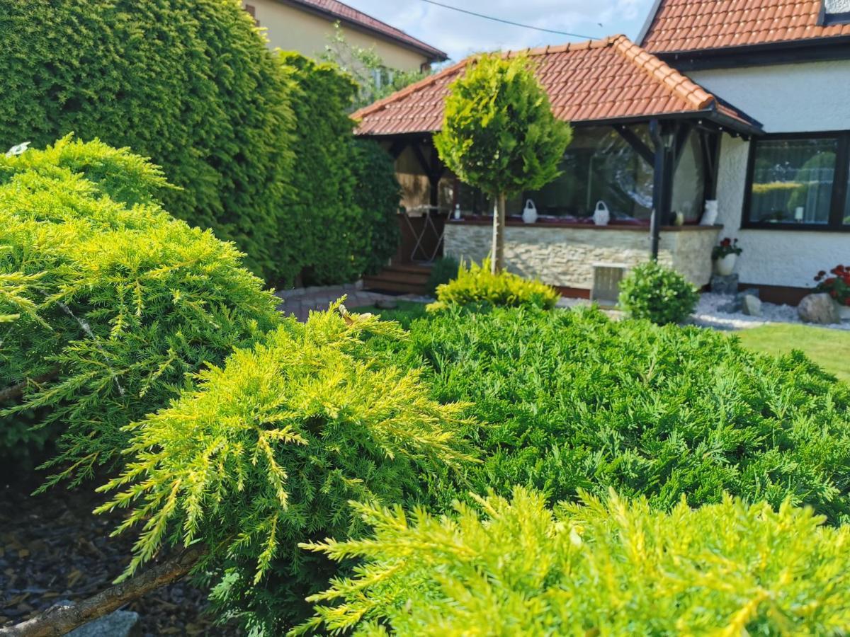 Romir Pokoje Bardzo Goscinne Sztutowo Exterior photo